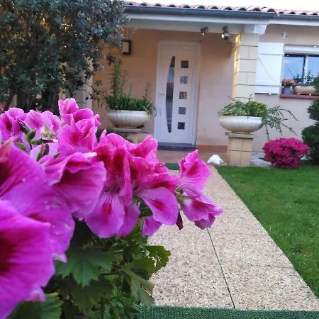 Le Nichoir Des Fauvettes Spa B&B Pensión Bressols